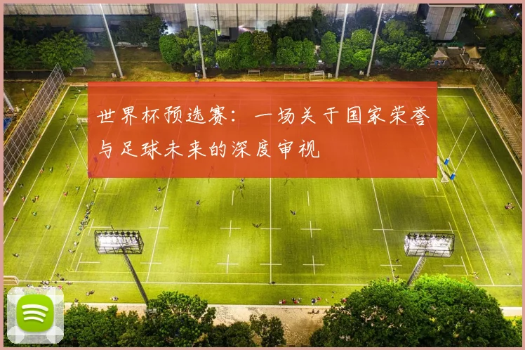 世界杯预选赛:一场关于国家荣誉与足球未来的深度审视