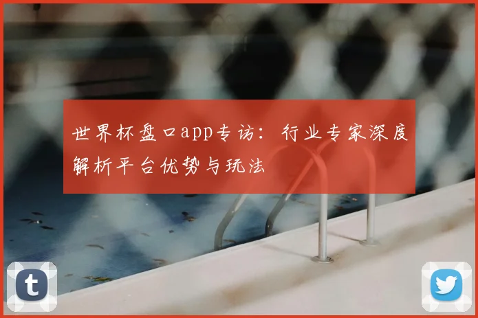 世界杯盘口app专访:行业专家深度解析平台优势与玩法