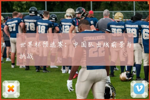 世界杯预选赛:中国队出线前景与挑战