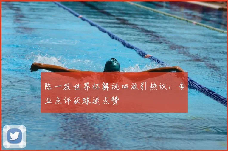 陈一发世界杯解说回放引热议，专业点评获球迷点赞
