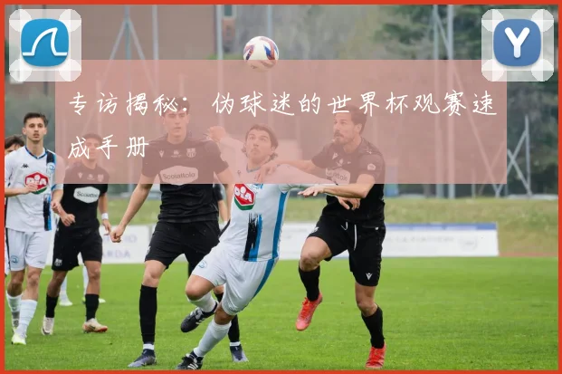 专访揭秘:伪球迷的世界杯观赛速成手册