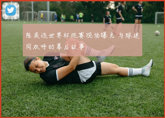 陈奕迅世界杯观赛现场曝光 与球迷同欢呼的幕后故事