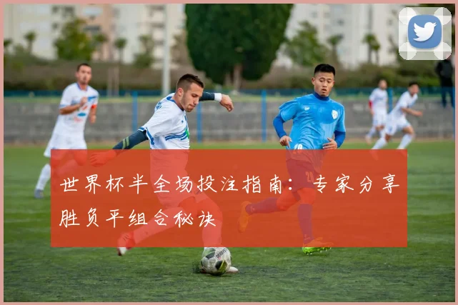 世界杯半全场投注指南:专家分享胜负平组合秘诀