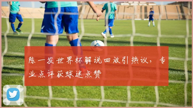 陈一发世界杯解说回放引热议，专业点评获球迷点赞