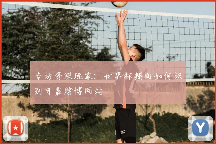 专访资深玩家:世界杯期间如何识别可靠赌博网站