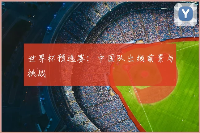 世界杯预选赛:中国队出线前景与挑战