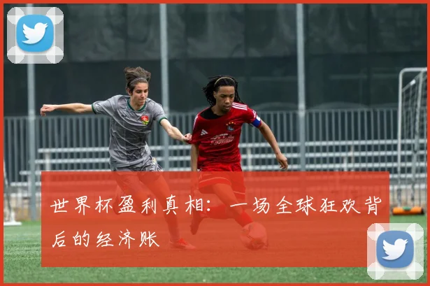 世界杯盈利真相:一场全球狂欢背后的经济账