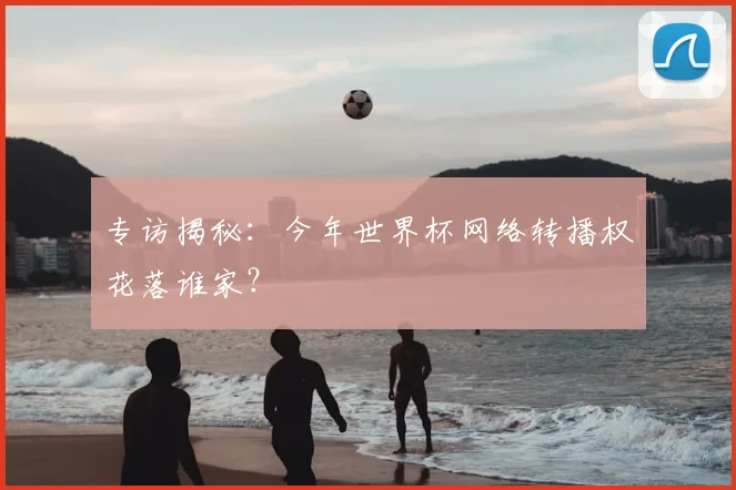专访揭秘:今年世界杯网络转播权花落谁家?