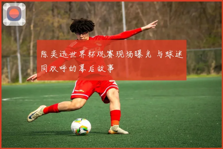 陈奕迅世界杯观赛现场曝光 与球迷同欢呼的幕后故事