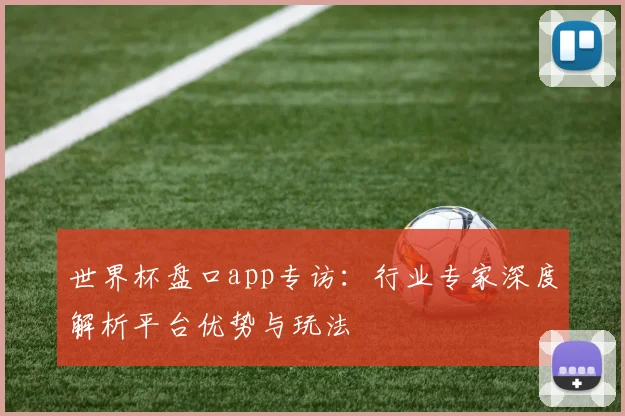 世界杯盘口app专访:行业专家深度解析平台优势与玩法