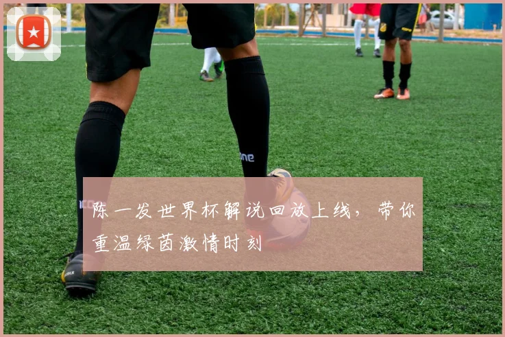 陈一发世界杯解说回放上线，带你重温绿茵激情时刻