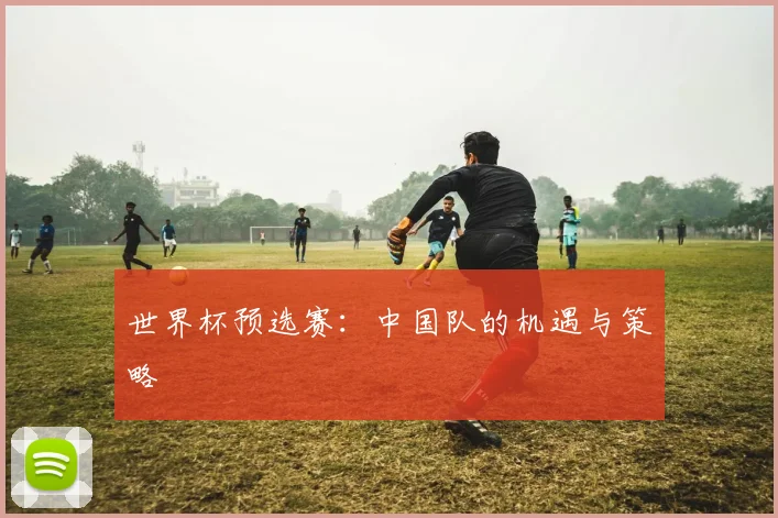 世界杯预选赛:中国队的机遇与策略