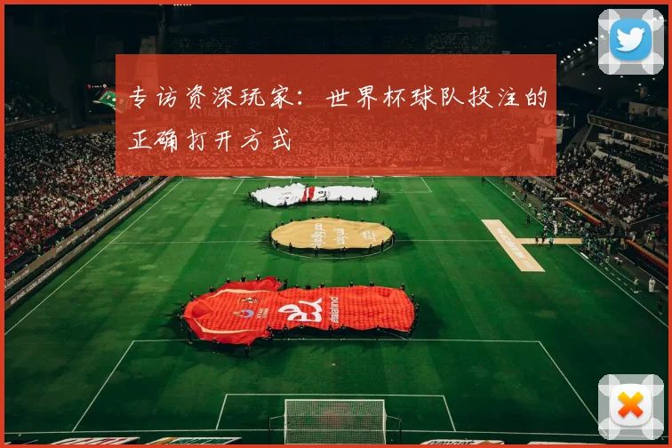 专访资深玩家:世界杯球队投注的正确打开方式
